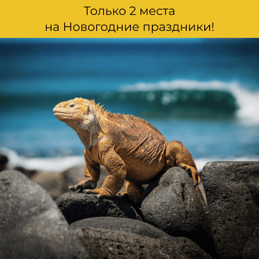 Черная пятница в Итинеро